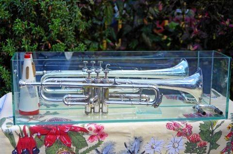 SHARING MEMORIES: Cecil Ryan's children donated his trumpet to the Pioneer Park museum. Picture: Will Ryan