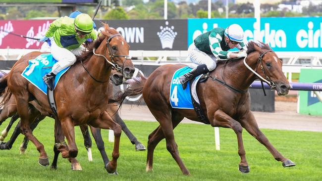 First Settler ridden by Michael Dee wins the Cirka Danehill Stakes at Flemington Racecourse on October 05, 2024 in Flemington, Australia. (Photo by Brett Holburt/Racing Photos via Getty Images)