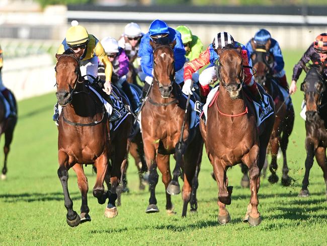 Stefi Magnetica (yellow cap) holds off Bella Nipotina (black and white striped cap) to win the Stradbroke Handicap for jockey Zac Lloyd and trainer Bjorn Baker. Picture: Grant Peters/Trackside Photography