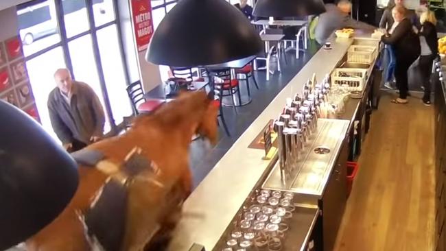 A horse in Chantilly, France bolted while being led to a racecourse, entering a bar.