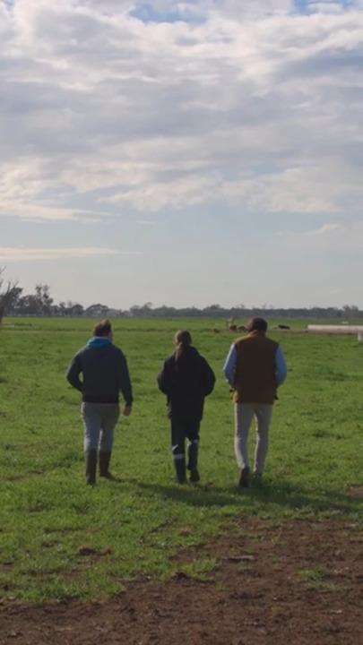 Inside a day on a dairy farm