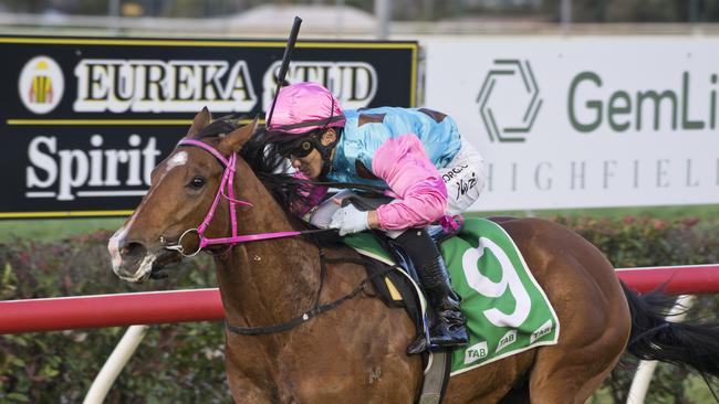 I'mtwentyfourseven and Nozi Tomizawa win race 1 at Clifford Park. Saturday, 15th Aug, 2020.