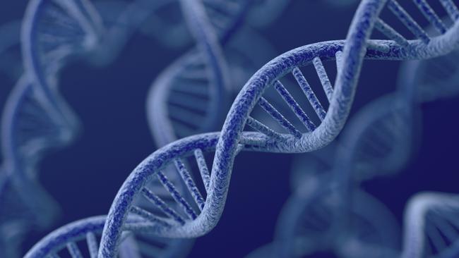 Researchers hope the human genome can help crack the mystery of depression.