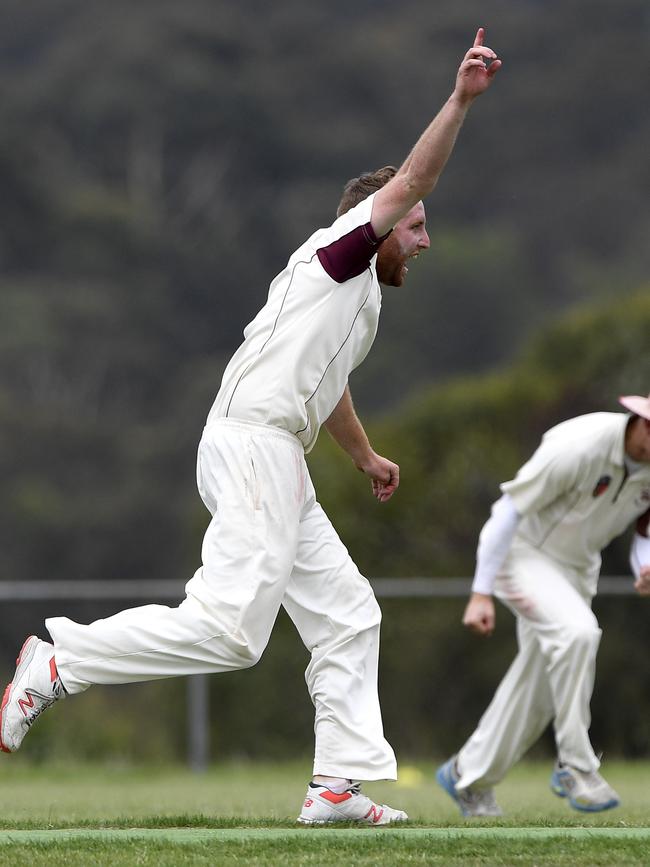 Daniel Young rips into celebration after a wicket. Picture:Andy Brownbill