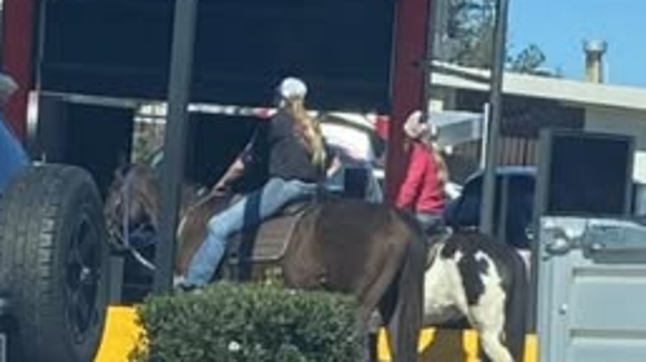 Would you like hay with that? Horses hit Macca’s drive-thru