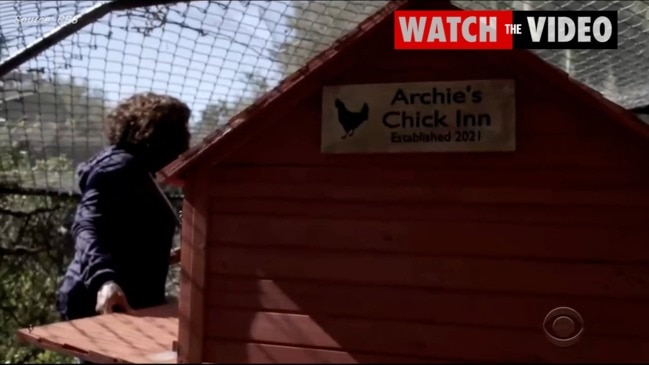 Take a tour of Archie's Chick Inn