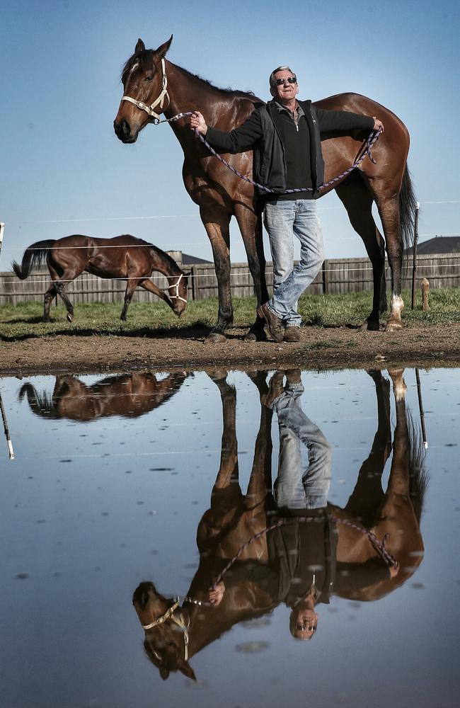 Trainer Mick Burles and The Cleaner lit up the spring. Picture: Colleen Petch