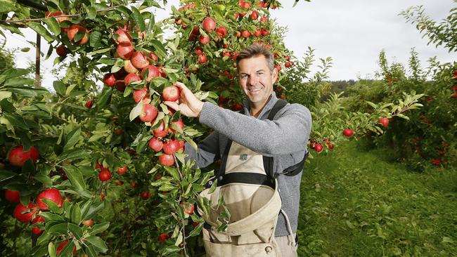 Andrew Smith of Willie Smith's is pictured in his orchard ahead of this year's Taste of the Huon festival at Ranelagh.Picture: MATT THOMPSON