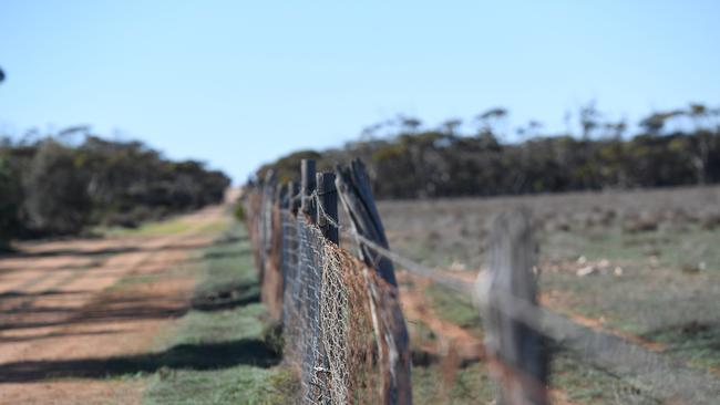 The Dog Fence 40kms west of Ceduna. Picture: Tricia Watkinson