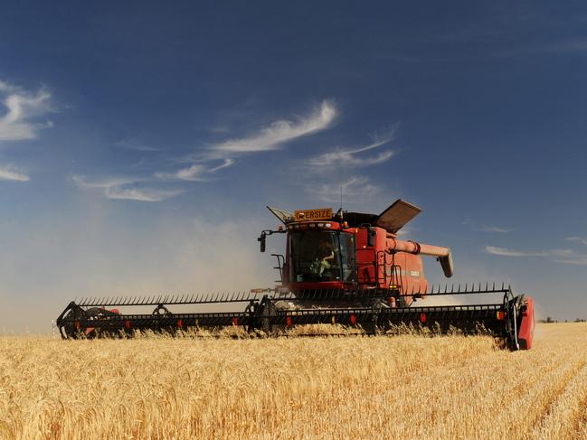 Crop harvest, Wimmera, Mallee. John Goodwin at Sheep Hills, harveting barley.