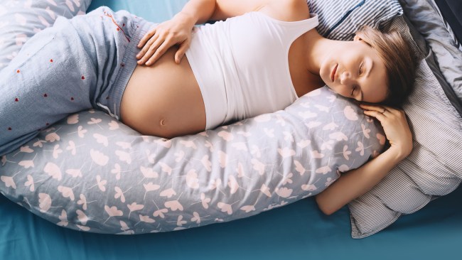 Myer 2024 pregnancy pillow