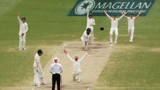 Nathan Lyon traps Moeen Ali lbw in the Fifth Test at the SCG. Picture: Matt King/Getty Images