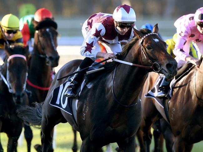 Land Of Plenty proves too powerful at the Bendigo. Picture: AAP