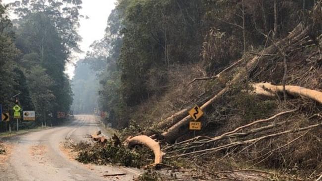 Photos of the Cunningham Highway through Cunninghams Gap from the Department of Transport and Main Roads show the damage done to the road which has caused its closure for the foreseeable future.