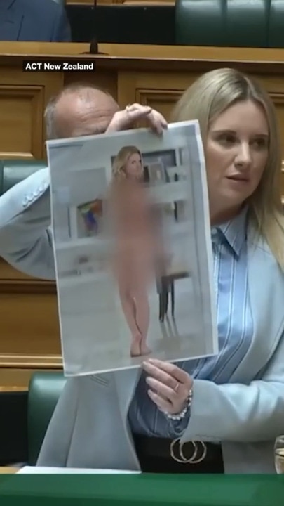 MP holds up nude pic of herself in parliament