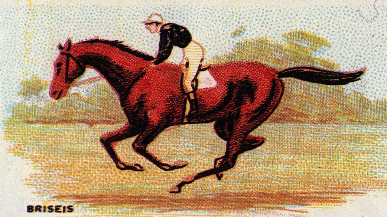 Jockey Peter St Albans was just 11-years-old when he rode Briseis to victory in the 1876 Melbourne Cup, a moment captured in this undated painting. Picture: supplied