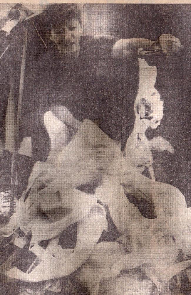 Newspaper clipping of Jeannie Mair setting fire to a pile of Triumph bras in 1992.