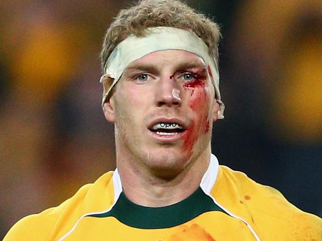 SYDNEY, AUSTRALIA - AUGUST 08: David Pocock of the Wallabies looks on during The Rugby Championship match between the Australia Wallabies and the New Zealand All Blacks at ANZ Stadium on August 8, 2015 in Sydney, Australia. (Photo by Cameron Spencer/Getty Images)