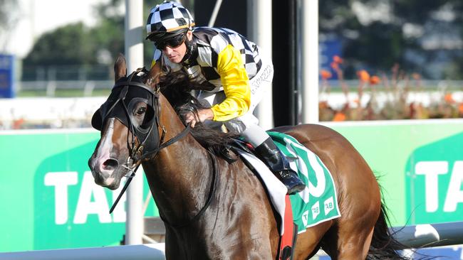 High Midnight has been kept fresh for Saturday’s race. Picture: Simon Bullard