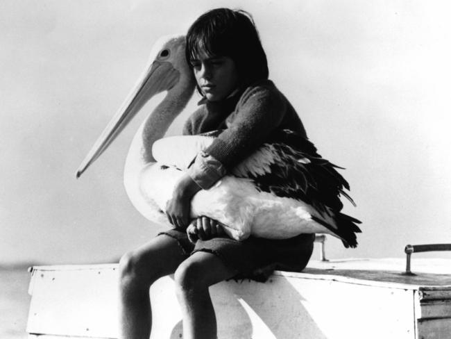 Actor Greg Rowe and pelican in 1976 film "Storm Boy".  1970s/Films/Titles/Storm/Boy