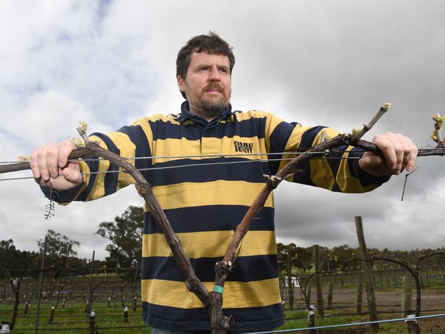 Jim Franklin-McEvoy (Chairman Inverbrackie Creek Catchment) pictured at Bird in Hand Winery. STORY: Bird in Hand and other wineries are concerned about plans to open a gold mine right next to their winery. Pic: Tricia Watkinson