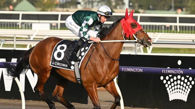 Damian Lane expects Via Sistina to bounce back in the Turnbull Stakes on Saturday. Picture: Vince Caligiuri/Getty Images