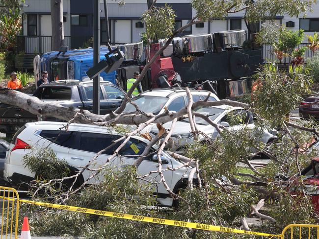A Mobile Crane, that was being used in a tree felling operation at Bond University , toppled over into one of the carparks, crushing several cars. No one was seriously injured in the incident. Picture Glenn Hampson