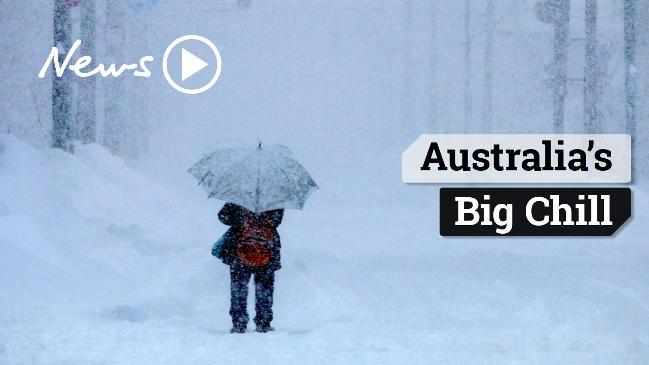 Sydney Weather: Cold Mornings On The Way | Daily Telegraph