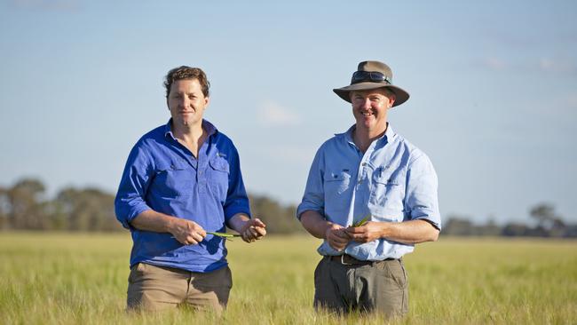 goFARM managing director Liam Lenaghan and chief farming office Nick Raleigh at Sandmount Farms aggregation near Katunga in northern Victoria which is on the market for more than $250 million.