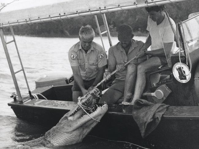 Conservation Commission officers Ross Belcher and David Heard work with Nik Robinson (centre) from the Crocodile Farm to haul a 4.3m saltwater crocodile out of Darwin Harbor and into the boat..