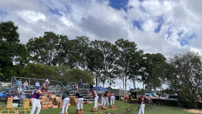 Woodchopping on day two of the Gympie show 2025.