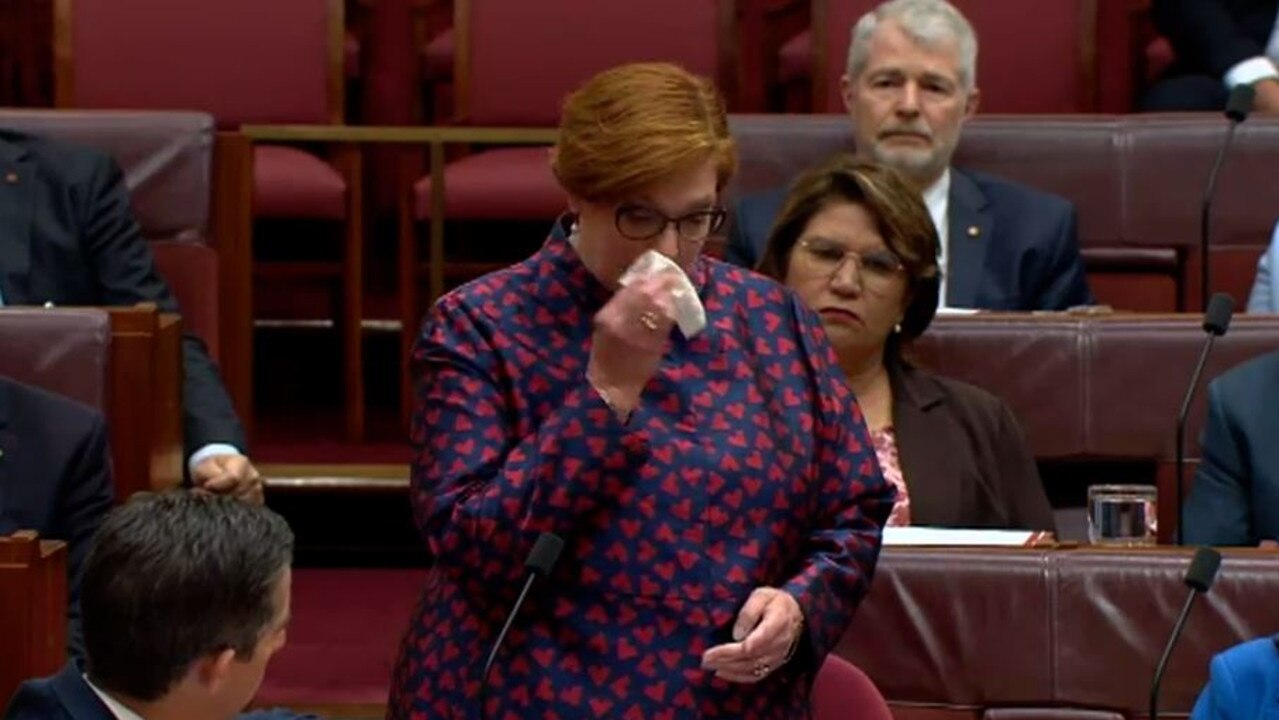 Marise Payne - The Women Leaders