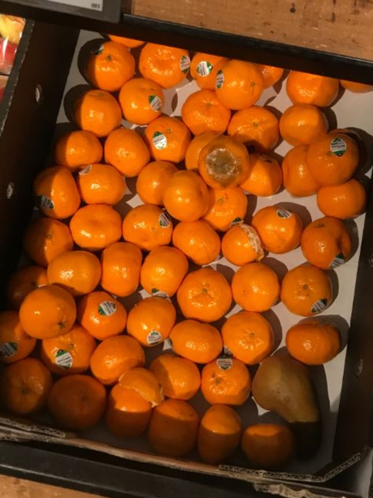 More rotting fruit were spotted at Bankstown on July 6. Picture: Caroline Przibilla