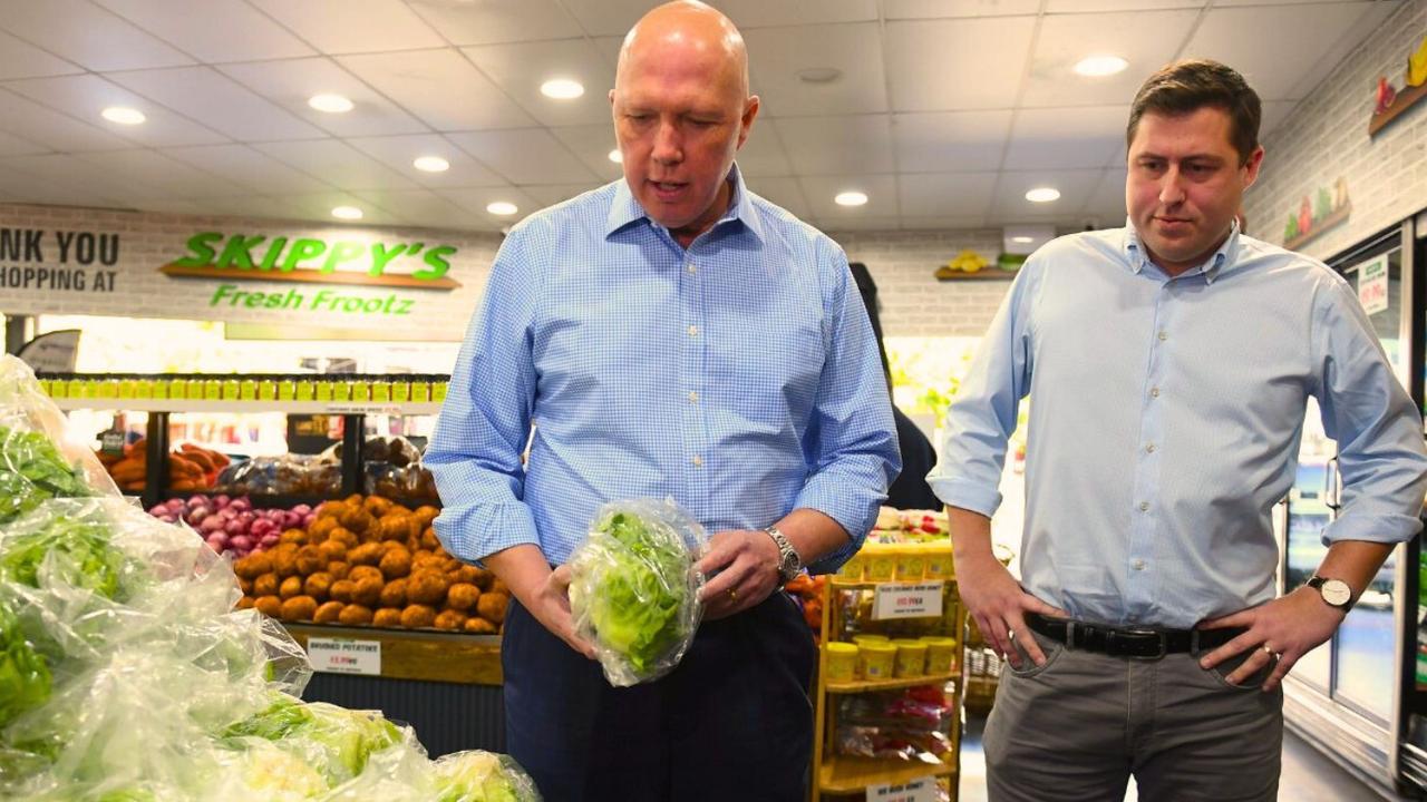 Peter Dutton lost his seat of Dickson but Henry Pike held on to his seat of Bowman. Picture: Contributed