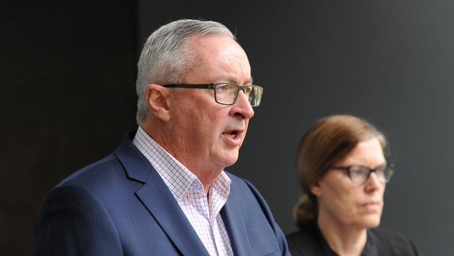 NSW Minister for Health Brad Hazzard and Chief Health Officer Kerry Chant face the media in Sydney on Saturday.