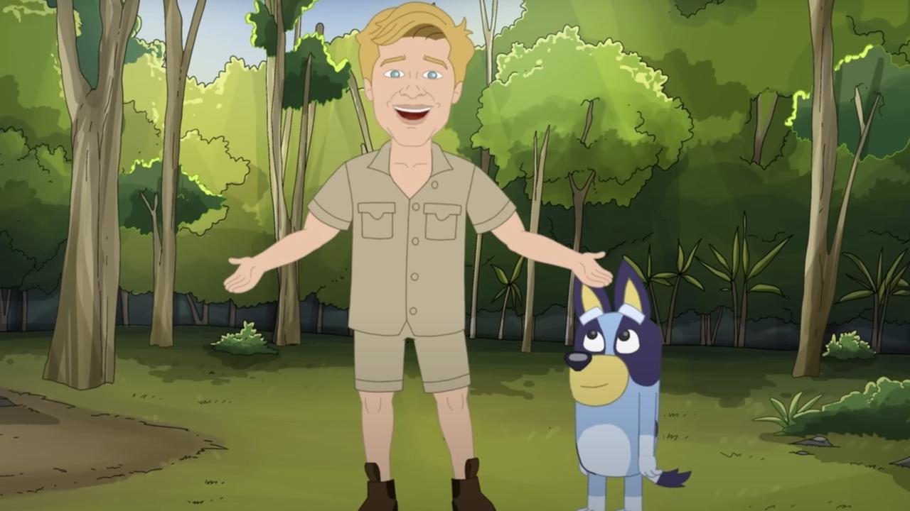Robert Irwin threat to sue Pauline Hanson defamation over Please Explain cartoon The Courier Mail