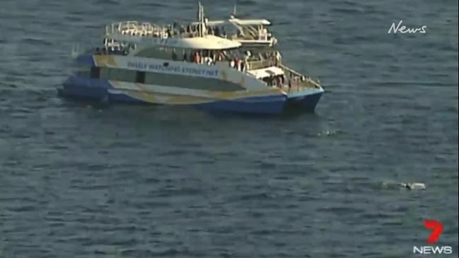 Humpback whale tangled in some netting or ropes about two nautical miles off North Bondi.  (7 News Sydney)