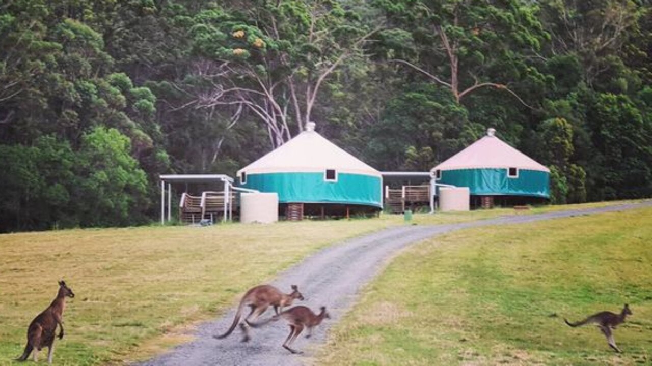 The eco stay at Pomona has some locals hopping along to welcome visitors.