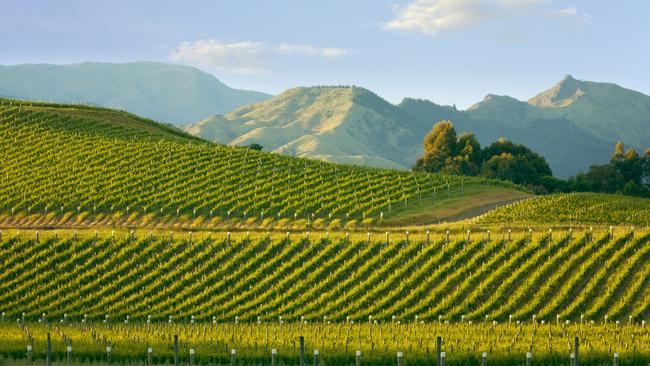 New Zealand food and wine – an A to Z of things you need to try ...