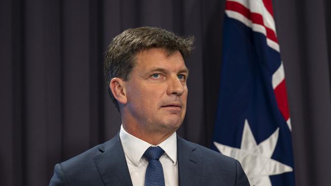 Energy Minister Angus Taylor. Picture: Martin Ollman