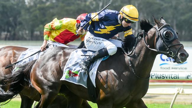 Skiddaw wins at Bendigo on Saturday. Picture: AAP