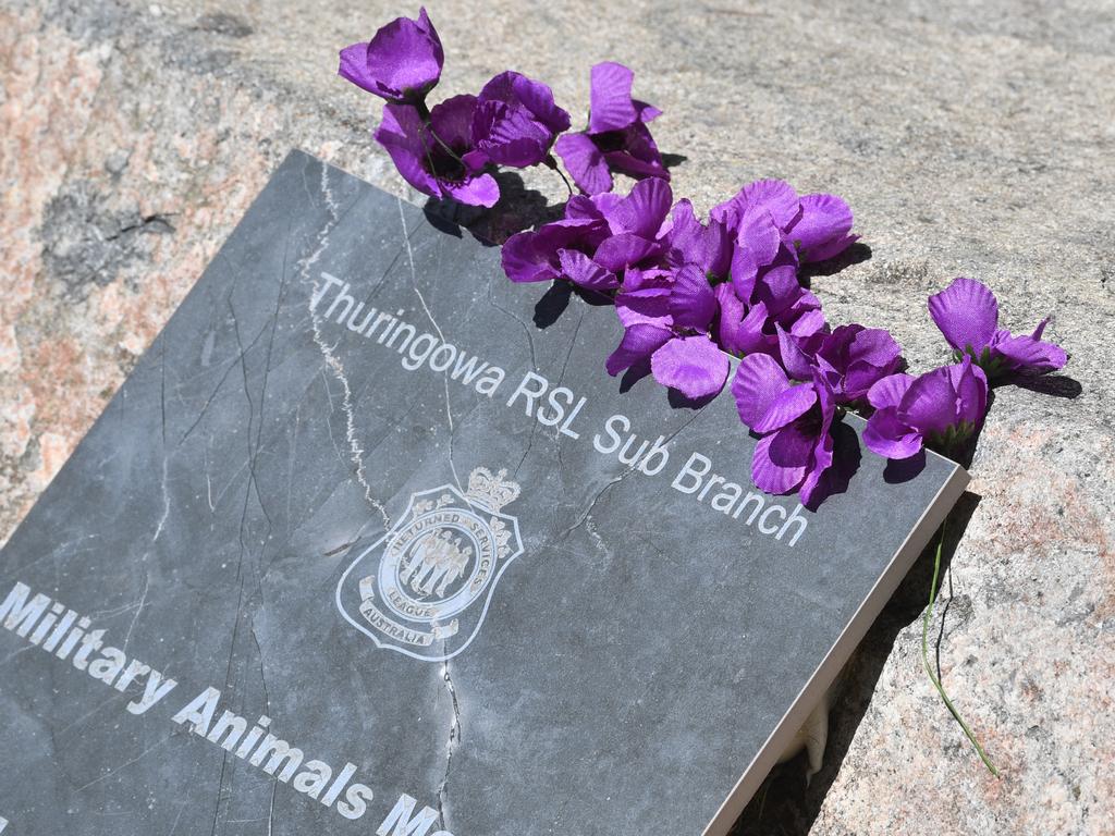 War Animal Day service at Thuringowa RSL. Picture: Evan Morgan