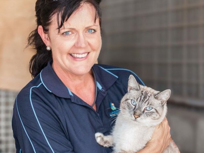 Livingstone Shire Council Local Laws Officer Leanne Swaffield with Chino - a Melbourne cat who managed to travel to Yeppoon in less than two weeks.