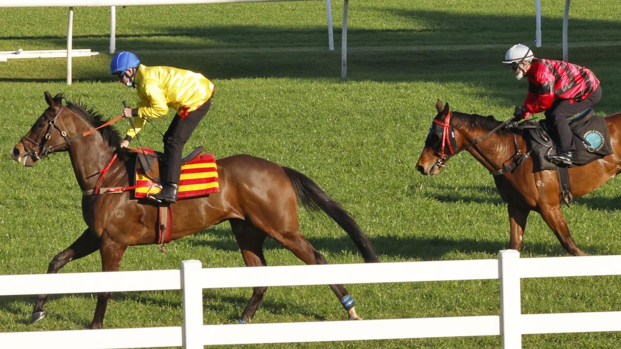 Randwick Barrier trials