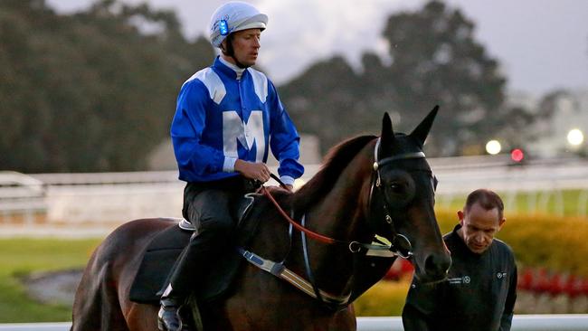 Chris Waller inspects Winx after Hugh Bowman put her through her paces at Rosehill on Thursday. Picture: Toby Zerna