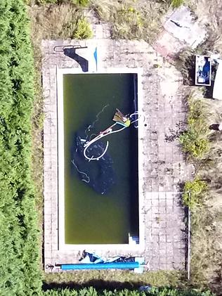 Her filthy and disused swimming pool. Picture: W8Media / MEGA