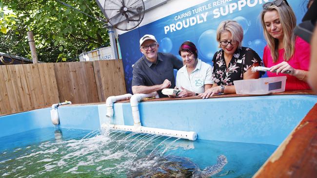 Federal Labor leader Anthony Albanese at Fitzroy Island with partner Jodie Haydon (right) and Labor candidate Elida Faith (second from right). Picture: Sam Ruttyn