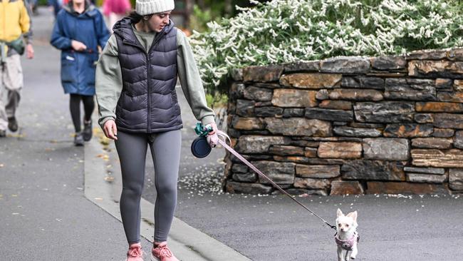 Million Paws Walk at Adelaide Botanic Gardens. Picture: Brenton Edwards