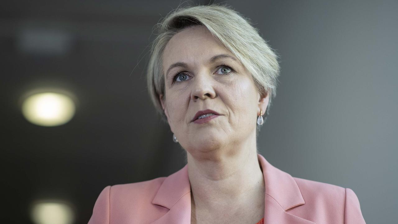 Why Tanya Plibersek Never Challenged Anthony Albanese Labor Leadership