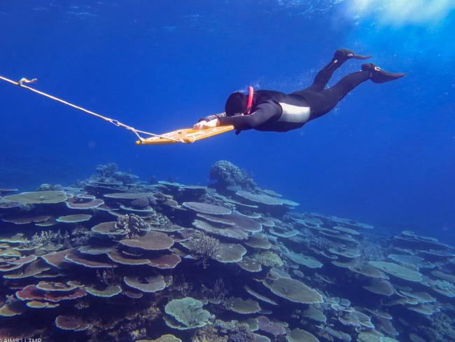 Divers with the Australian Institute of Marine Science monitor the health of reef by being towed over it. Picture: AIMS